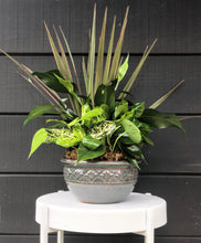 Load image into Gallery viewer, Ceramic Dish Garden