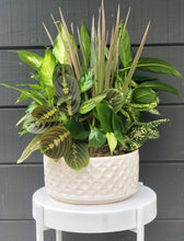 Load image into Gallery viewer, Ceramic Dish Garden