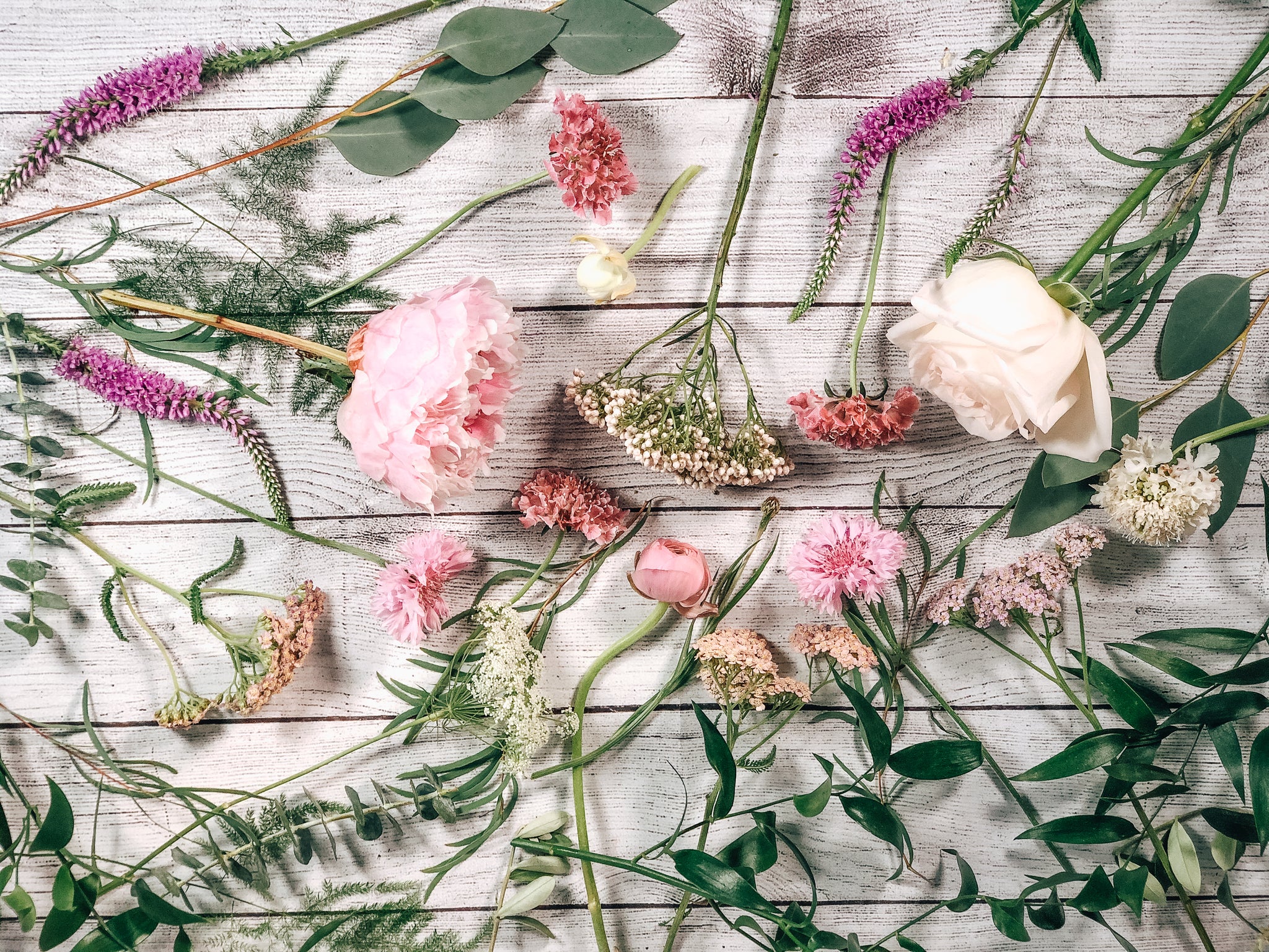Rose Petals – Flowers of Gatlinburg