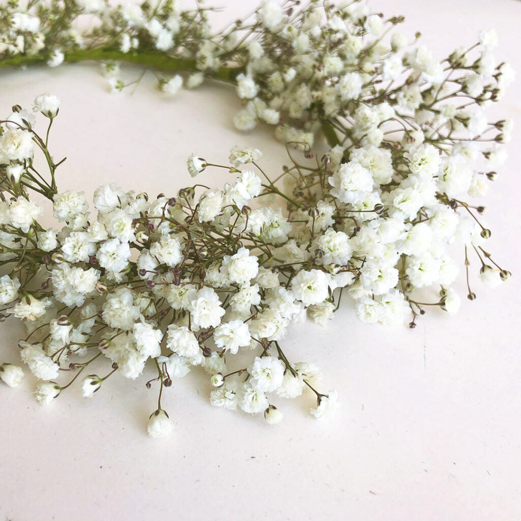 Babies Breath Flower Crown – Flowers of Gatlinburg